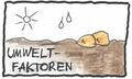 Die Natur erforschen Umweltfaktoren .PNG.jpg