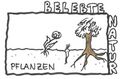 Die Natur erforschen Belebte Natur Pflanzen .PNG.jpg